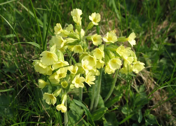 Maison d'hôtes 48 Špindlerŭv Mlýn